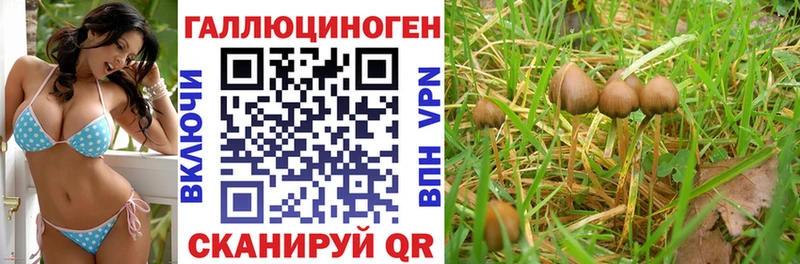 Галлюциногенные грибы Cubensis  купить наркоту  Радужный 